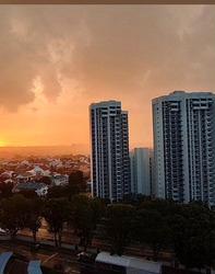Fernwood Towers (D15), Condominium #629864081
